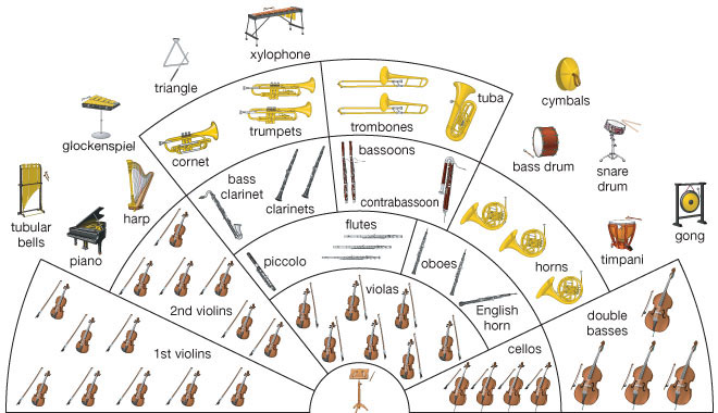 Nhạc cụ sử dụng trong nhạc giao hưởng
